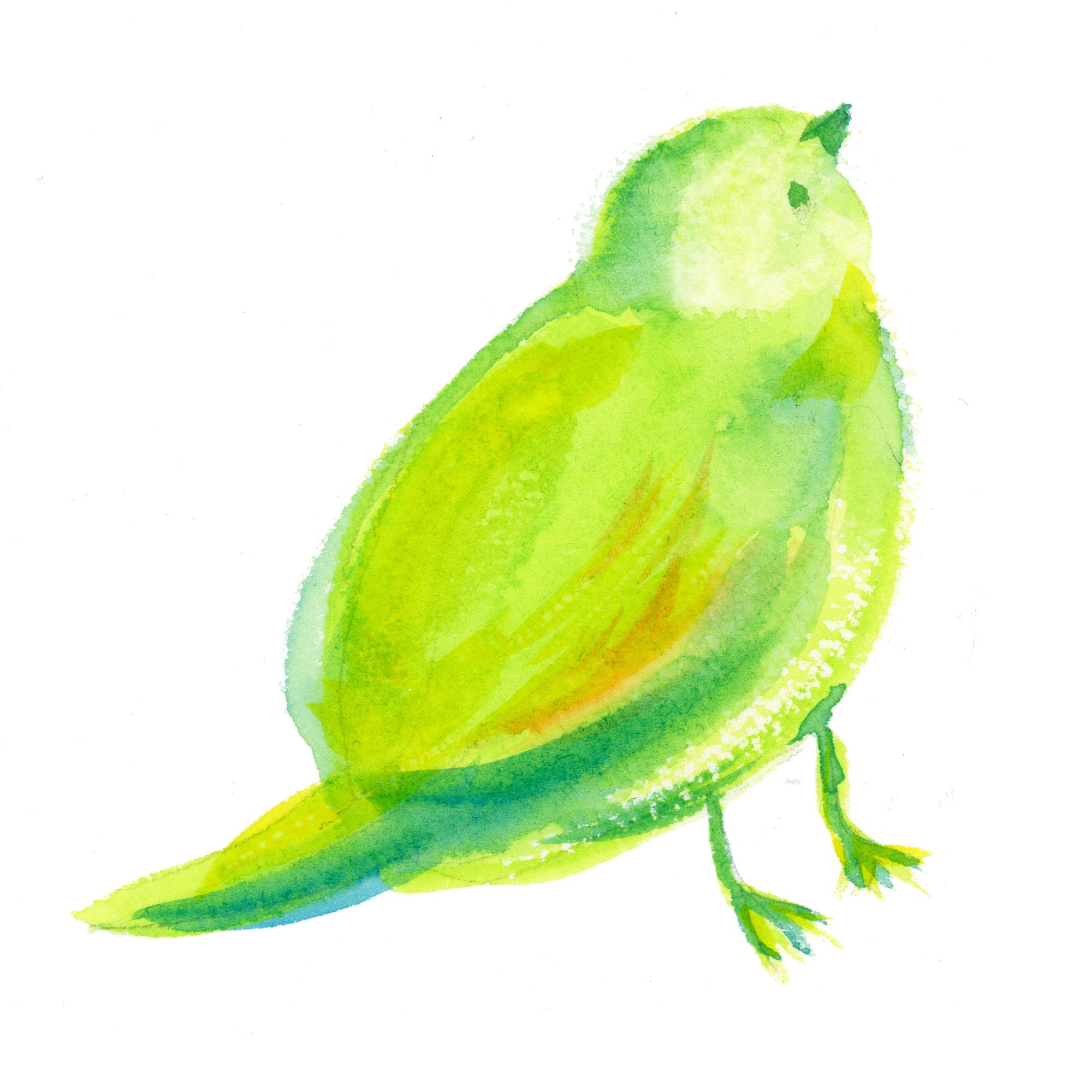 sottoのブランドアイコン